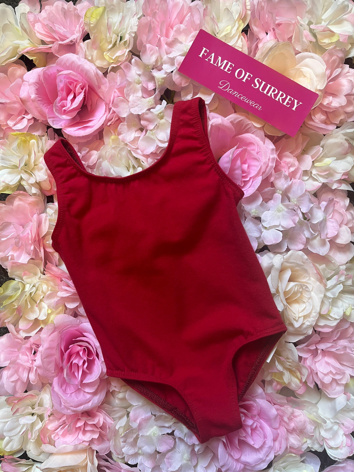 ISTD plum leotard (Hawthorns & RSB)